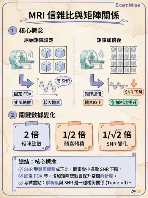 放射 - 空間編碼與影像品質 - AI 圖文解析預覽