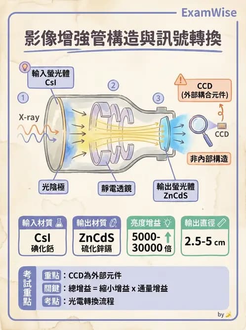 放射 - 血管攝影與透視攝影裝置 - AI 圖文解析預覽