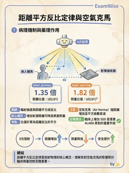 放射 - X光成像系統與影像品質 - AI 圖文解析預覽