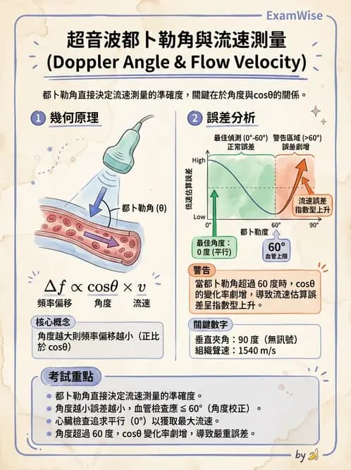放射 - 都普勒超音波 - AI 圖文解析預覽