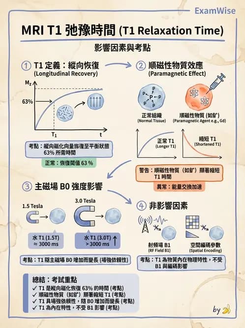 放射 - 主磁場、磁鐵類型與勻場 - AI 圖文解析預覽