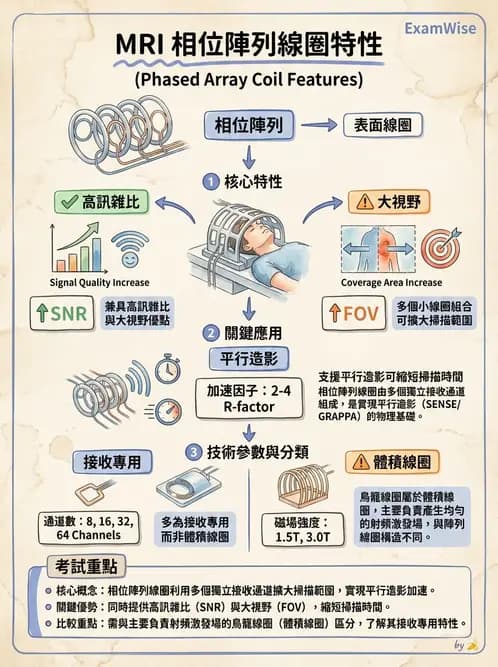 放射 - 射頻系統與線圈 - AI 圖文解析預覽