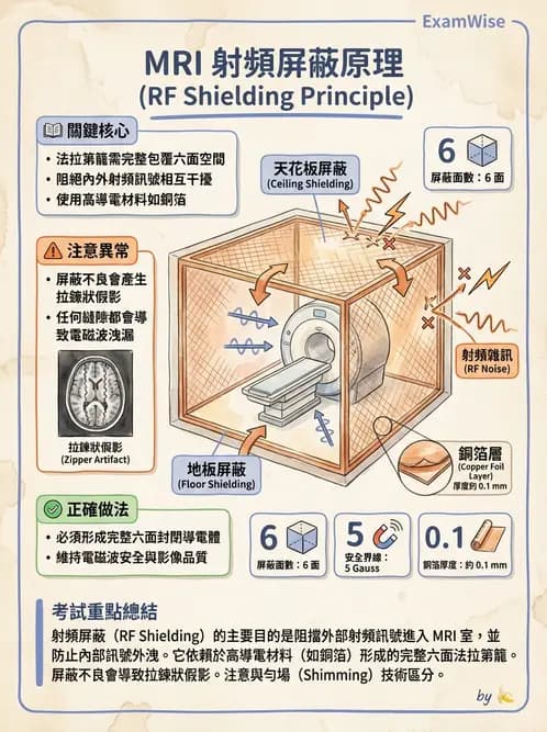 放射 - 磁場與射頻屏蔽 - AI 圖文解析預覽
