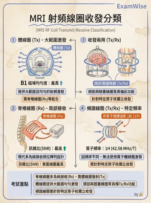 放射 - 射頻系統與線圈 - AI 圖文解析預覽