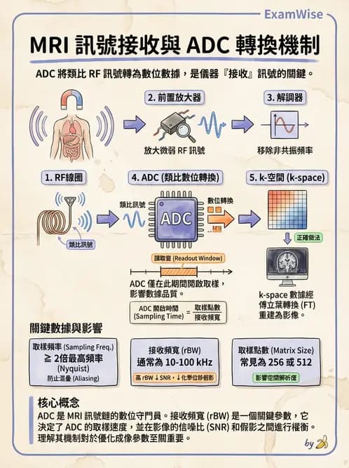 放射 - MRI電子元件與電安全 - AI 圖文解析預覽