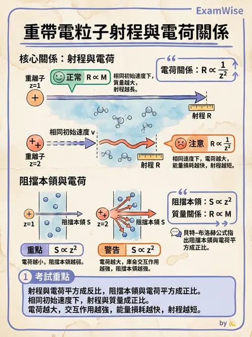 放射 - 質子及中子治療機 - AI 圖文解析預覽