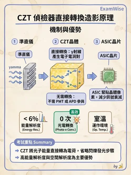 平面影像 - 影像儀器設備 - AI 圖文解析預覽