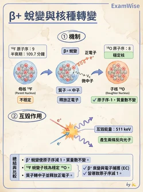放射 - PET核種與儀器偵測原理 - AI 圖文解析預覽