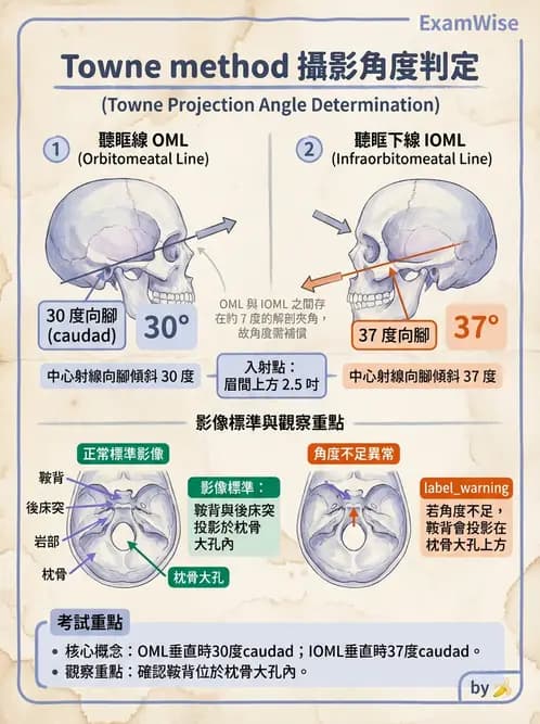 放射 - 頭頸脊椎攝影技術 - AI 圖文解析預覽