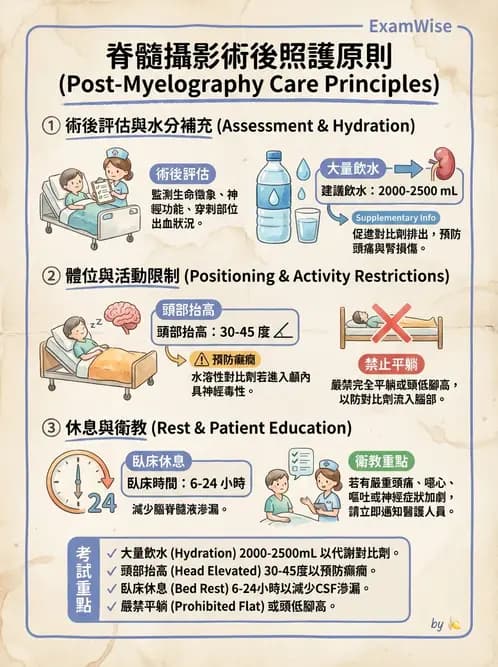 放射 - 乳房攝影與其他特殊檢查 - AI 圖文解析預覽
