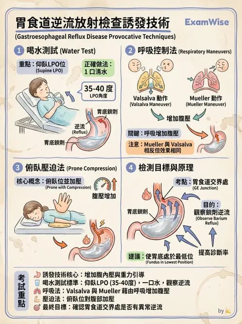 放射 - 消化道造影 - AI 圖文解析預覽