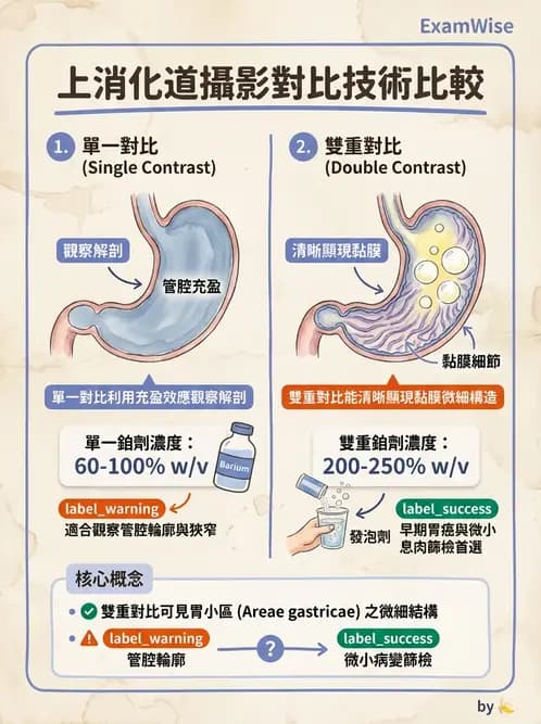 放射 - 消化道造影 - AI 圖文解析預覽