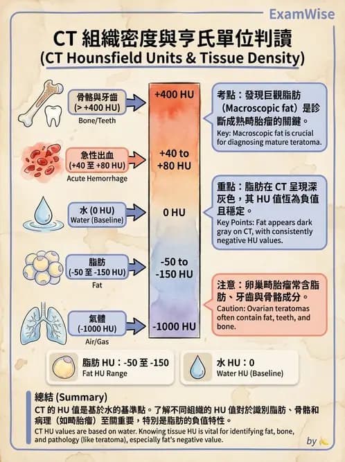 放射 - 胸腹部CT診斷 - AI 圖文解析預覽