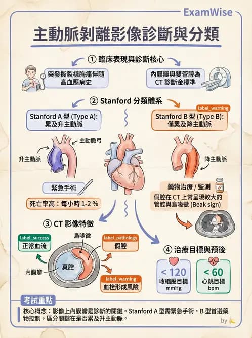 放射 - 胸腹部CT診斷 - AI 圖文解析預覽