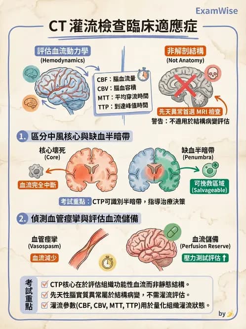放射 - 頭頸部CT診斷 - AI 圖文解析預覽