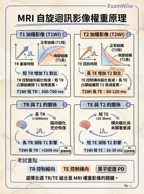 放射 - 磁振造影原理 - AI 圖文解析預覽