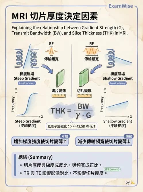 放射 - 磁振造影原理 - AI 圖文解析預覽