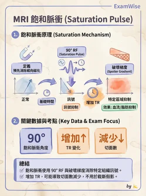 放射 - MRI脈衝序列與訊號技術 - AI 圖文解析預覽