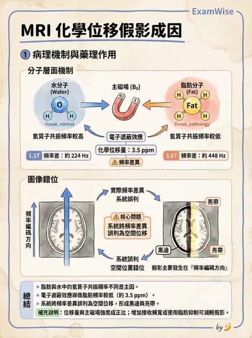 放射 - 磁振影像品質與參數 - AI 圖文解析預覽
