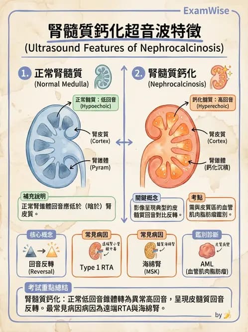 放射 - 腎臟血管與其他超音波 - AI 圖文解析預覽