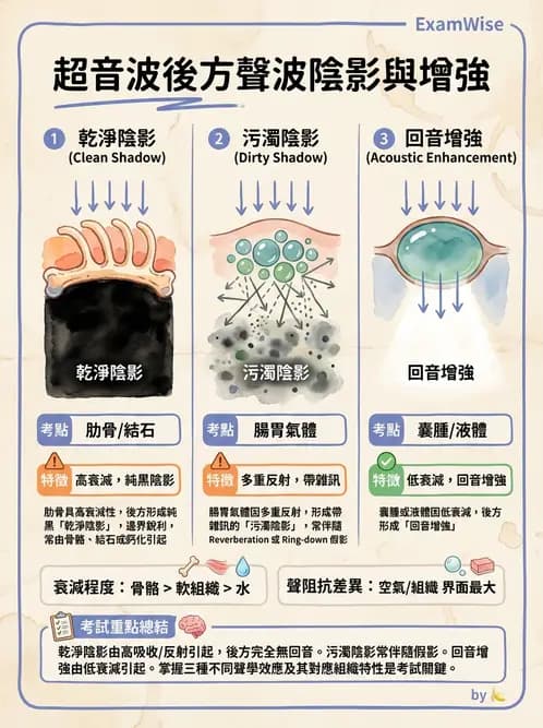 放射 - 肝臟超音波 - AI 圖文解析預覽