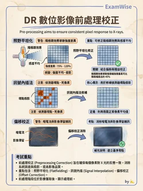 放射 - 數位影像原理與處理技術 - AI 圖文解析預覽