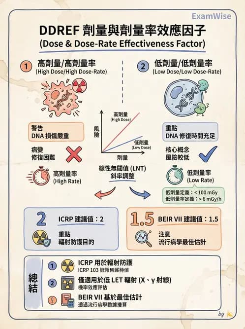 放射 - 輻射致癌與遺傳效應 - AI 圖文解析預覽