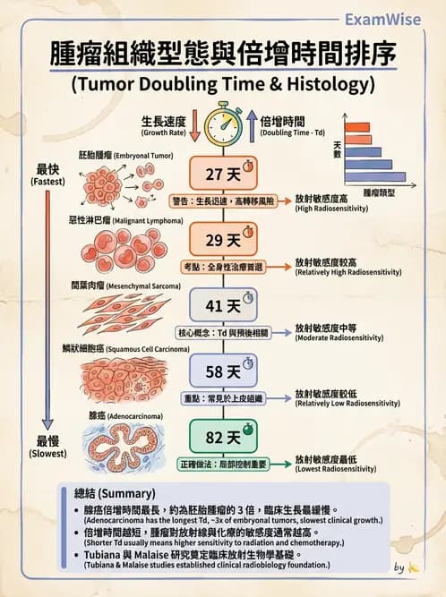 放射 - 細胞與腫瘤動力學 - AI 圖文解析預覽