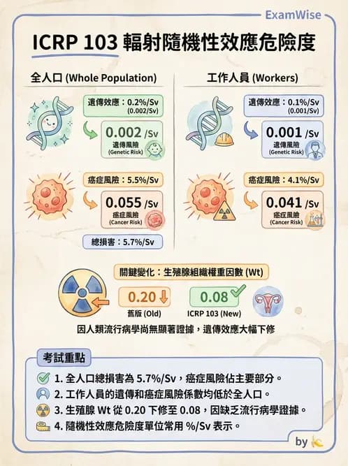 放射 - 輻射致癌與遺傳效應 - AI 圖文解析預覽