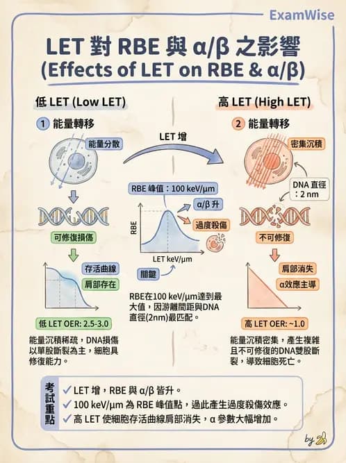 放射 - LET、RBE、OER與復氧效應 - AI 圖文解析預覽