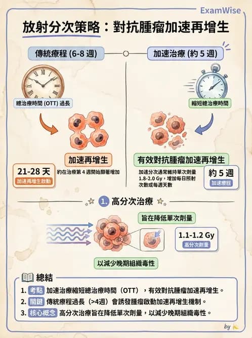 放射 - 時間劑量分次效應 - AI 圖文解析預覽