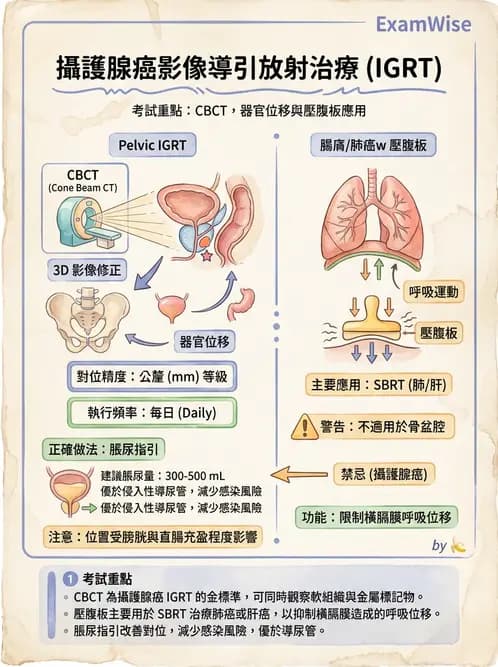 放射 - 影像導引放射治療(IGRT)與臨床應用 - AI 圖文解析預覽