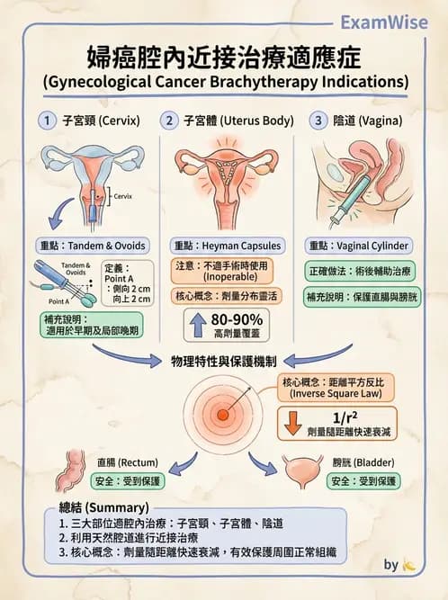 放射 - 腔內近接治療 - AI 圖文解析預覽