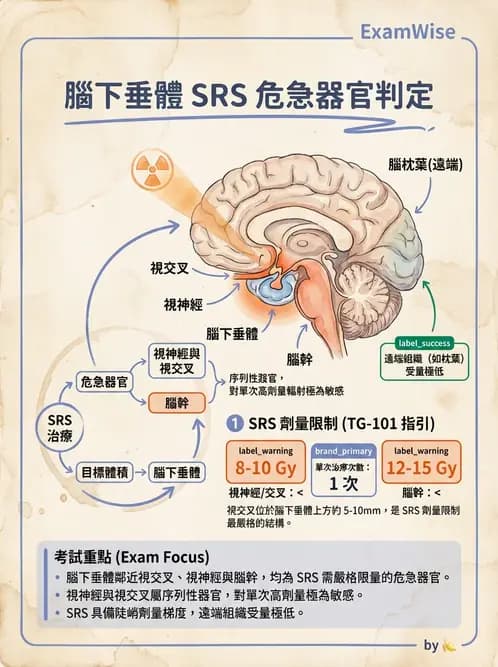 放射 - SRS/SRT臨床適應與治療計畫 - AI 圖文解析預覽