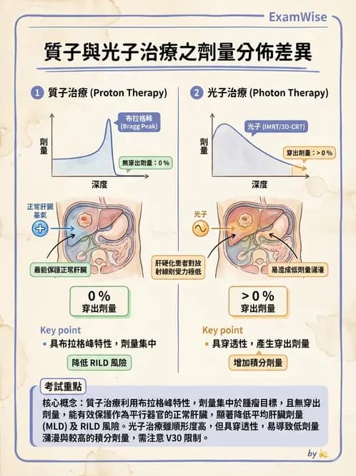 放射 - 質子與粒子治療 - AI 圖文解析預覽