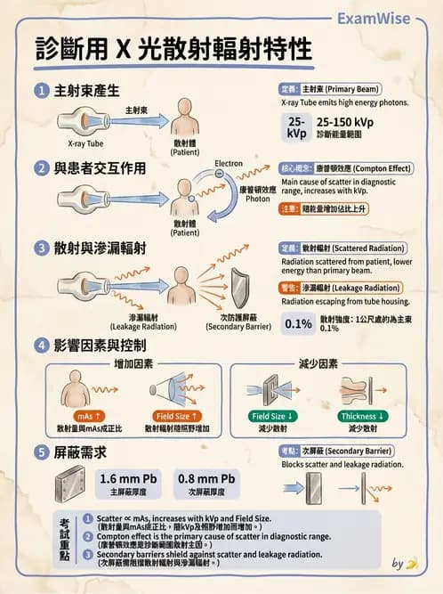 放射 - 放射治療輻射防護 - AI 圖文解析預覽