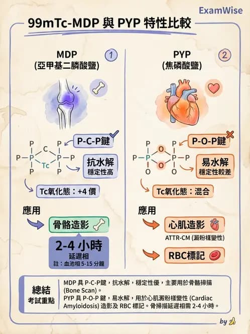 放射 - 骨骼與發炎造影SPECT藥物 - AI 圖文解析預覽