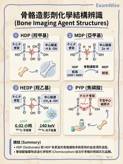 放射 - 肺肝膽與製劑通則 - AI 圖文解析預覽