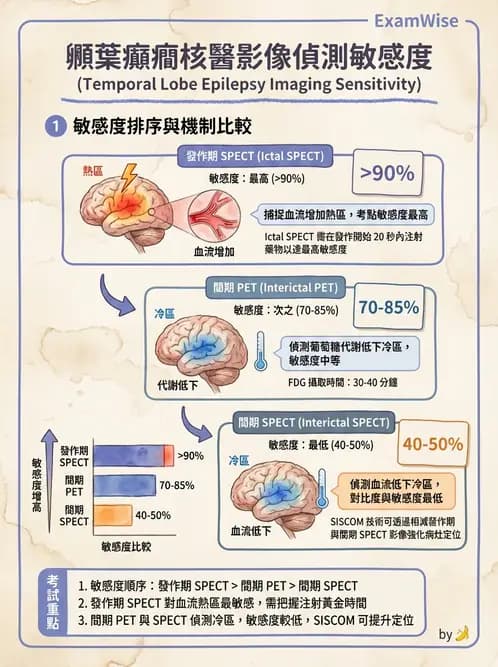 放射 - 腦部造影 - AI 圖文解析預覽