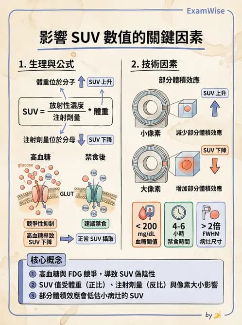 放射 - PET定量及其他 - AI 圖文解析預覽