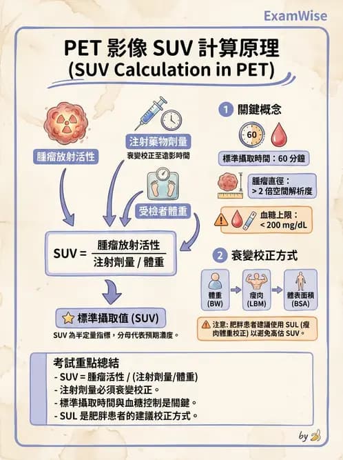 放射 - PET定量及其他 - AI 圖文解析預覽