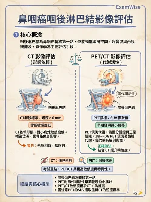 放射 - FDG PET造影 - AI 圖文解析預覽