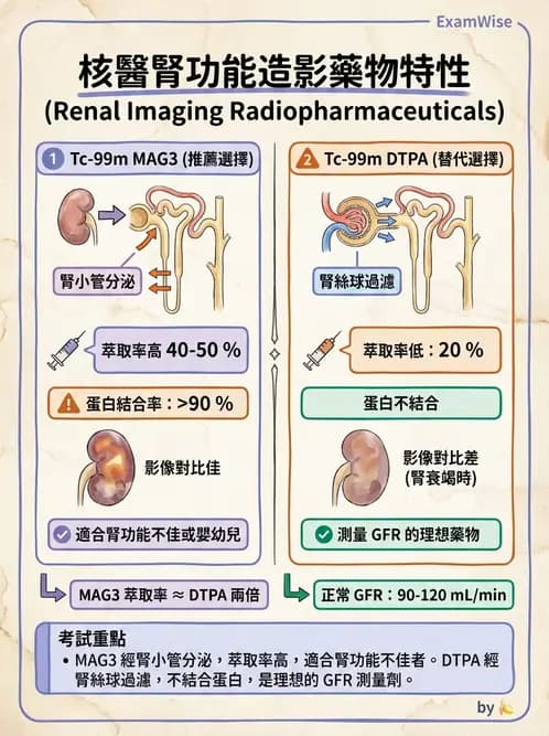 放射 - 腎臟造影 - AI 圖文解析預覽