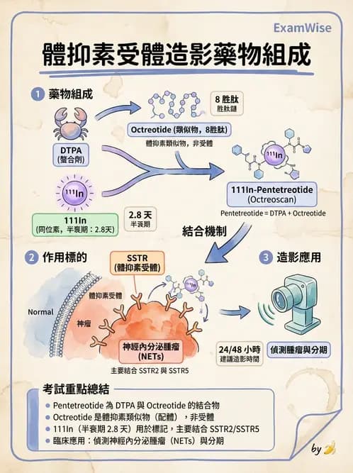 放射 - 腫瘤與內分泌造影SPECT藥物 - AI 圖文解析預覽