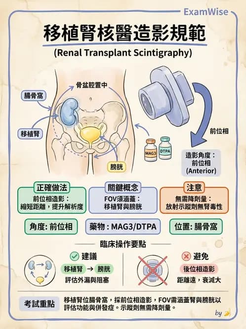 放射 - 腎臟造影 - AI 圖文解析預覽