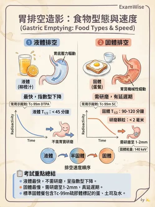 放射 - 消化道造影 - AI 圖文解析預覽