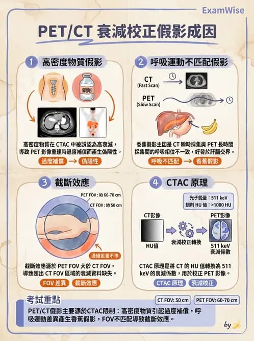 放射 - PET定量及其他 - AI 圖文解析預覽
