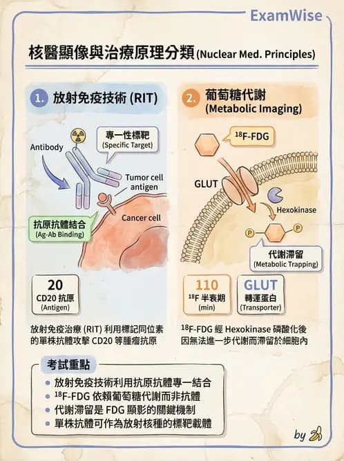 放射 - RIA與IRMA分析原理 - AI 圖文解析預覽