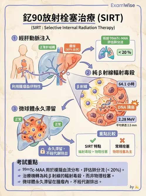 放射 - 腫瘤治療 - AI 圖文解析預覽