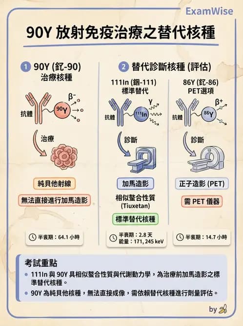 放射 - 腫瘤治療 - AI 圖文解析預覽